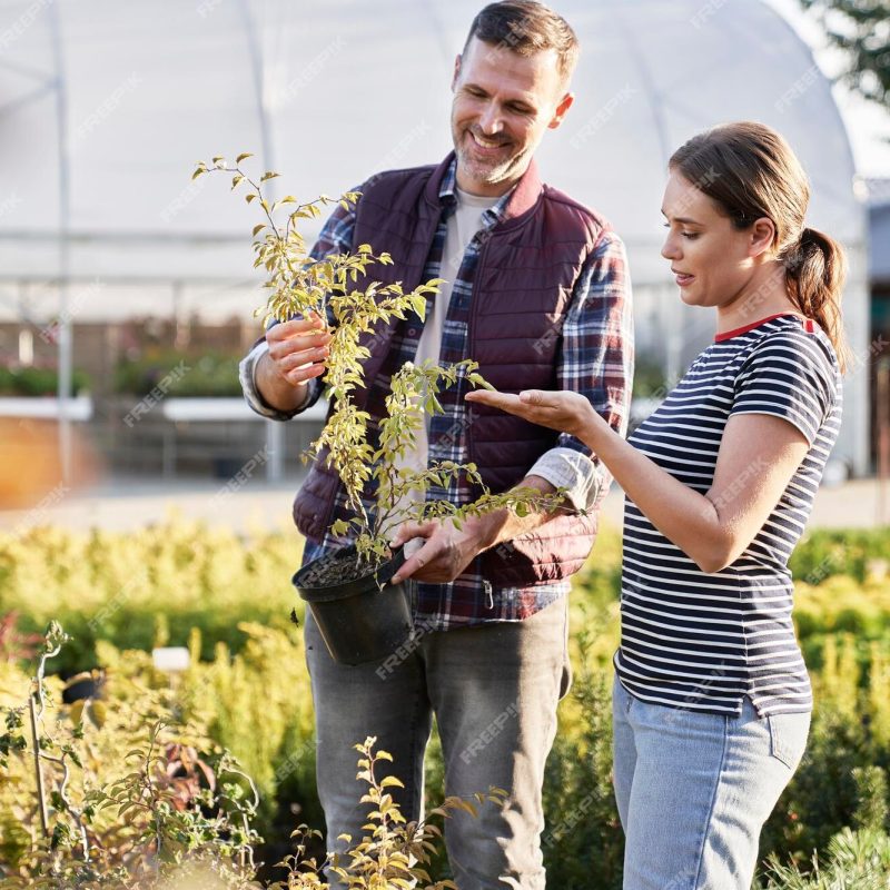 asesoramiento_jardineria